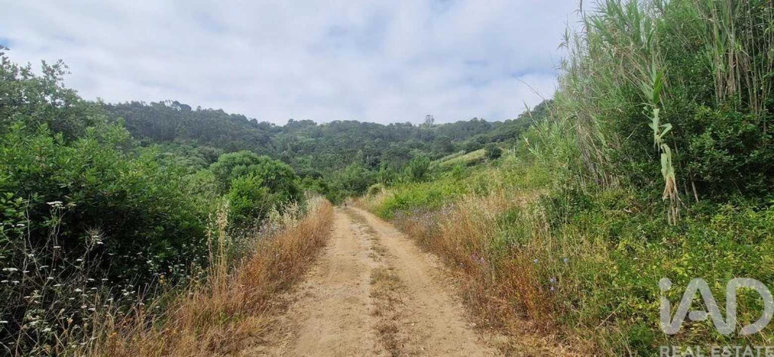 Terreno para Venda em Azueira e Sobral da Abelheira Foto 17