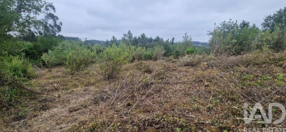 Terreno para Venda em Azueira e Sobral da Abelheira