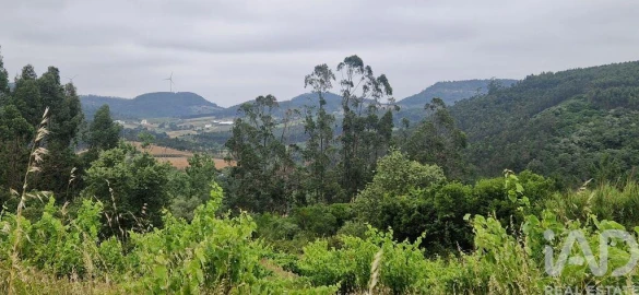 Terreno para Venda em Azueira e Sobral da Abelheira