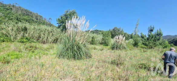 Terreno para Venda em Azueira e Sobral da Abelheira