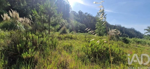 Terreno para Venda em Azueira e Sobral da Abelheira