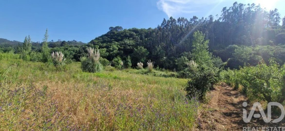 Terreno para Venda em Azueira e Sobral da Abelheira