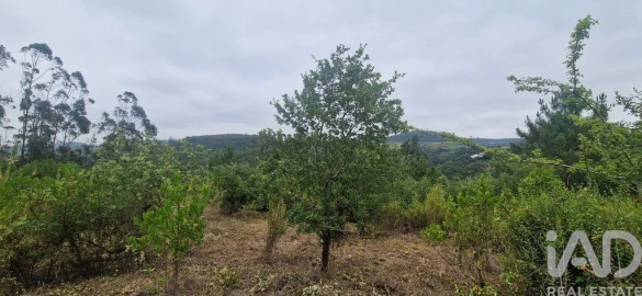 Terreno para Venda em Azueira e Sobral da Abelheira