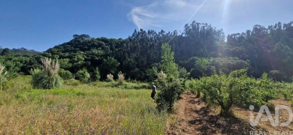 Terreno para Venda em Azueira e Sobral da Abelheira