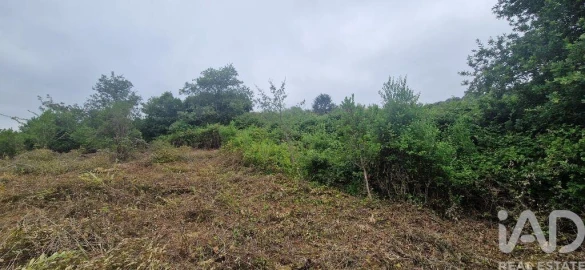 Terreno para Venda em Azueira e Sobral da Abelheira