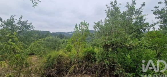 Terreno para Venda em Azueira e Sobral da Abelheira