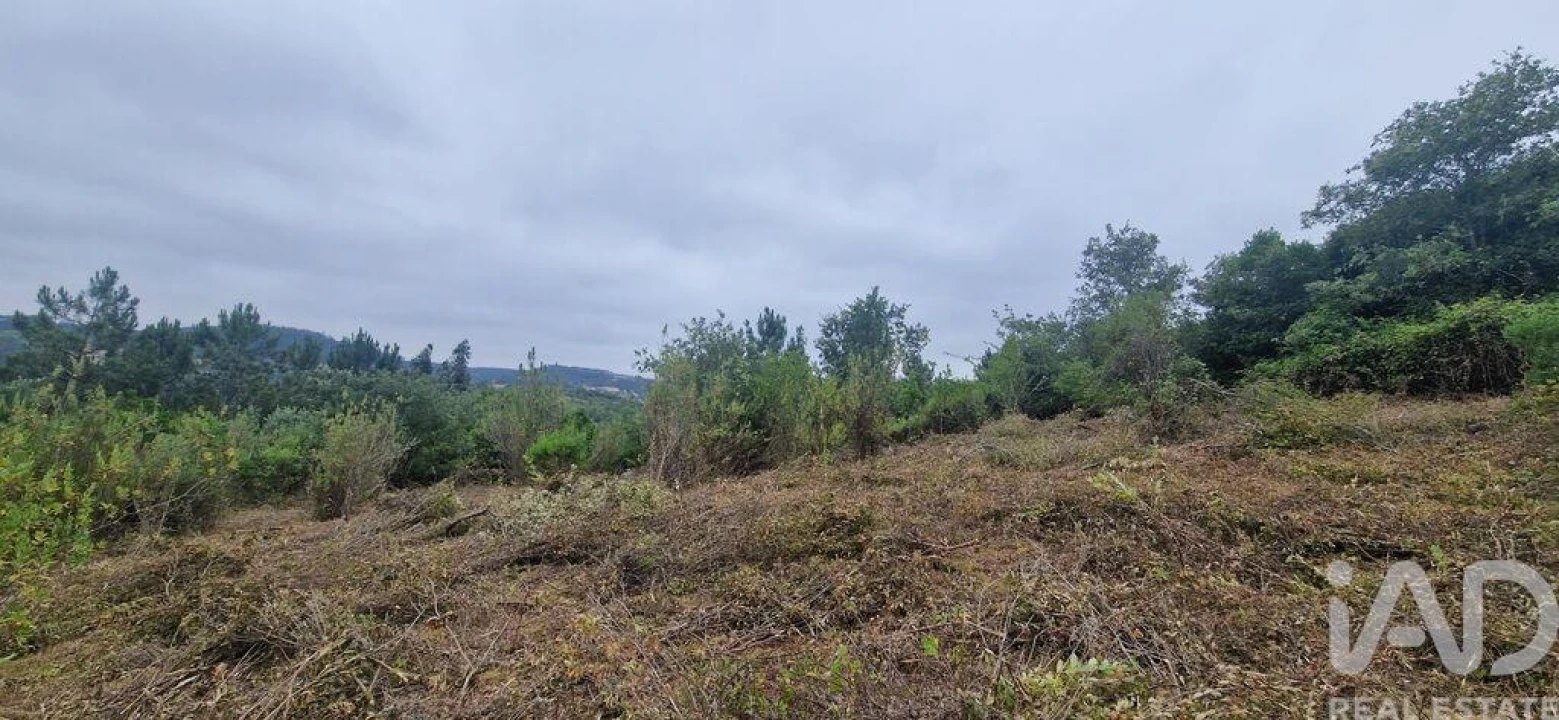 Terreno para Venda em Azueira e Sobral da Abelheira Foto 11