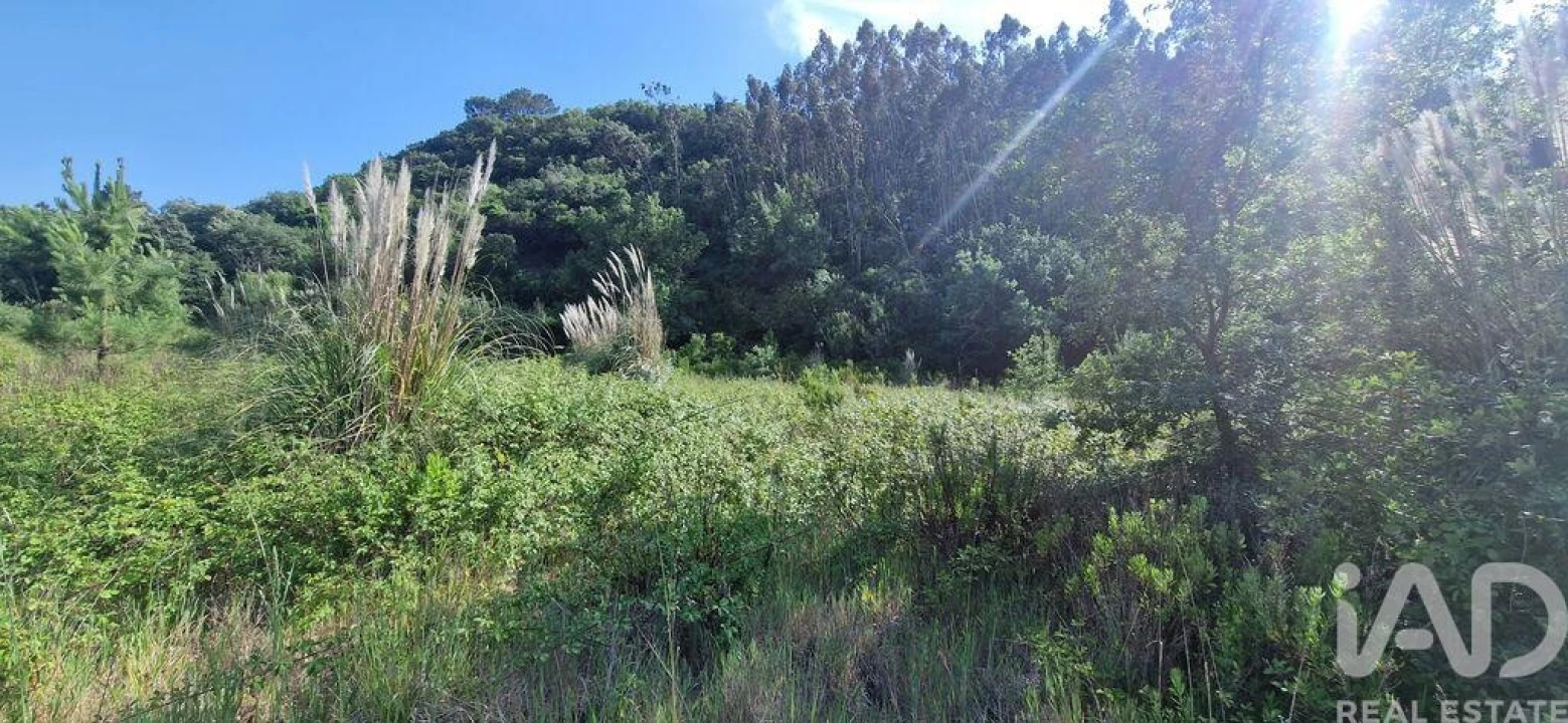 Terreno para Venda em Azueira e Sobral da Abelheira Foto 4