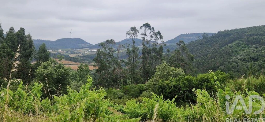Terreno para Venda em Azueira e Sobral da Abelheira Foto 16