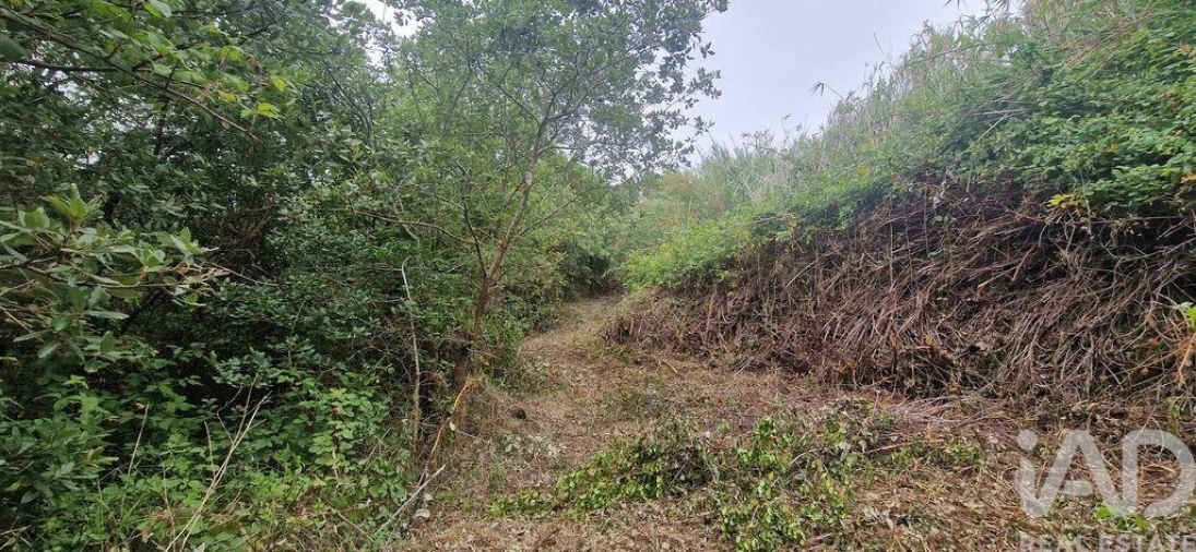 Terreno para Venda em Azueira e Sobral da Abelheira Foto 13