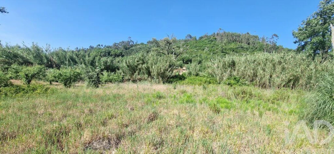Terreno para Venda em Azueira e Sobral da Abelheira Foto 5