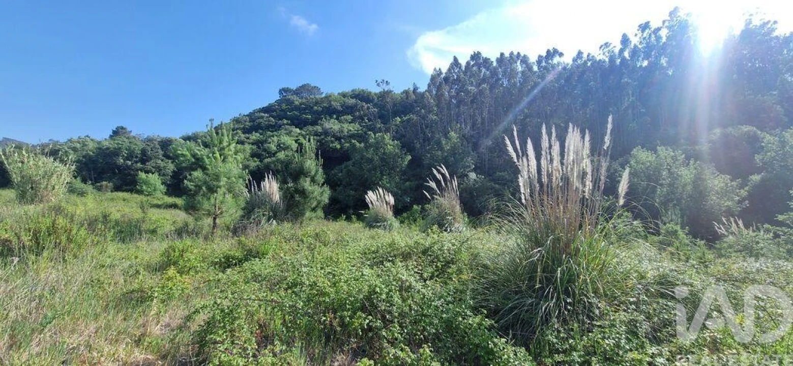 Terreno para Venda em Azueira e Sobral da Abelheira Foto 3