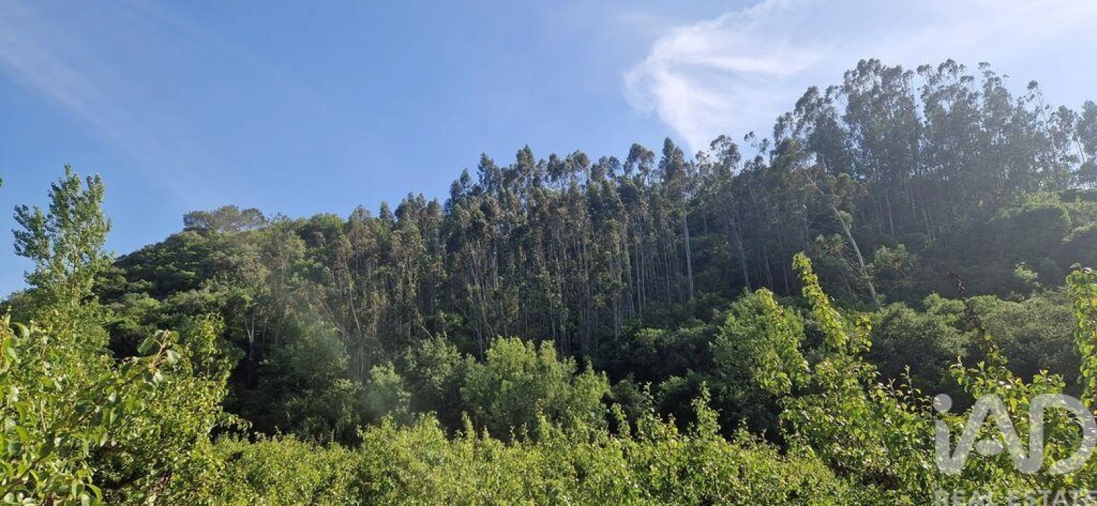 Terreno para Venda em Azueira e Sobral da Abelheira Foto 19