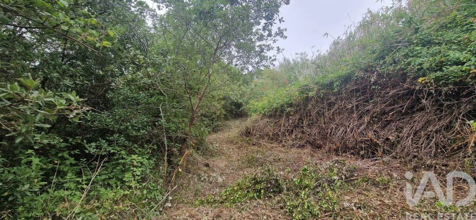 Terreno para Venda em Azueira e Sobral da Abelheira Foto 13