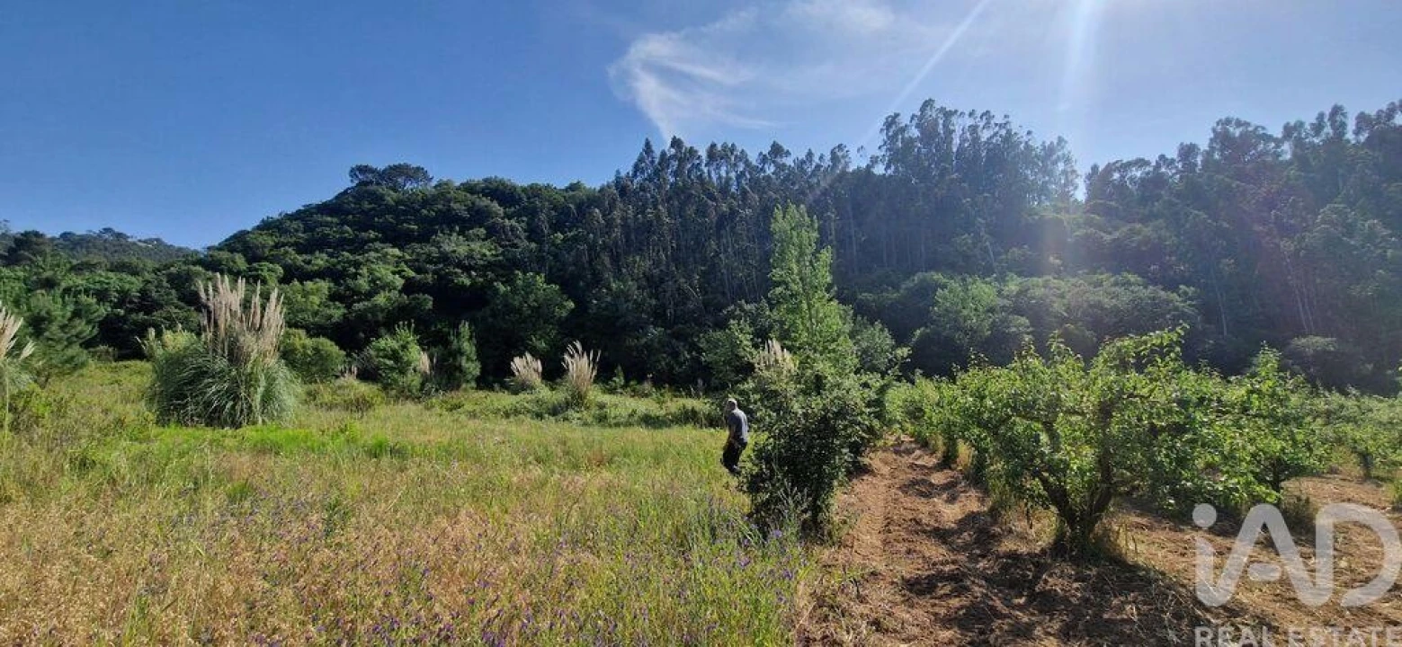 Terreno para Venda em Azueira e Sobral da Abelheira Foto 1