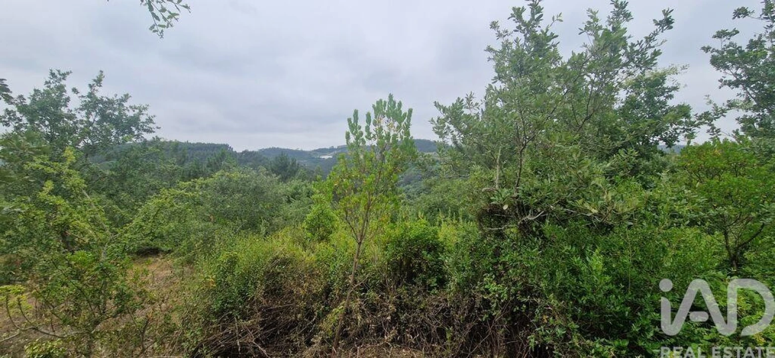 Terreno para Venda em Azueira e Sobral da Abelheira Foto 14