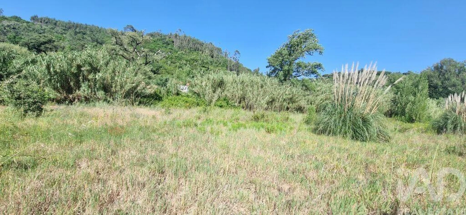 Terreno para Venda em Azueira e Sobral da Abelheira Foto 2