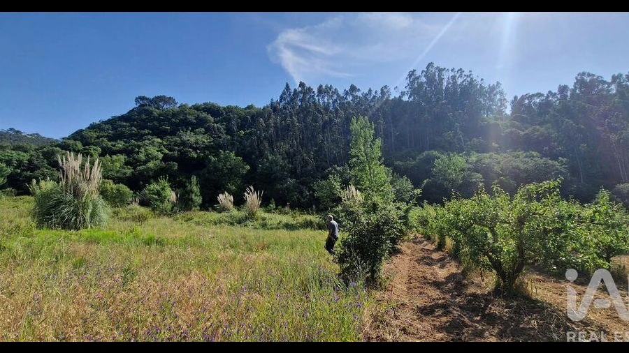 Terreno para Venda em Azueira e Sobral da Abelheira