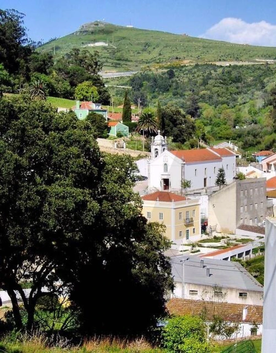 Terreno para Venda em Lousa Foto 2