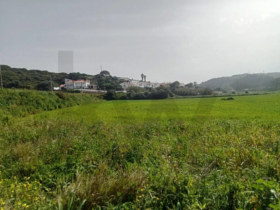 Terreno para Venda em Ericeira Foto 5