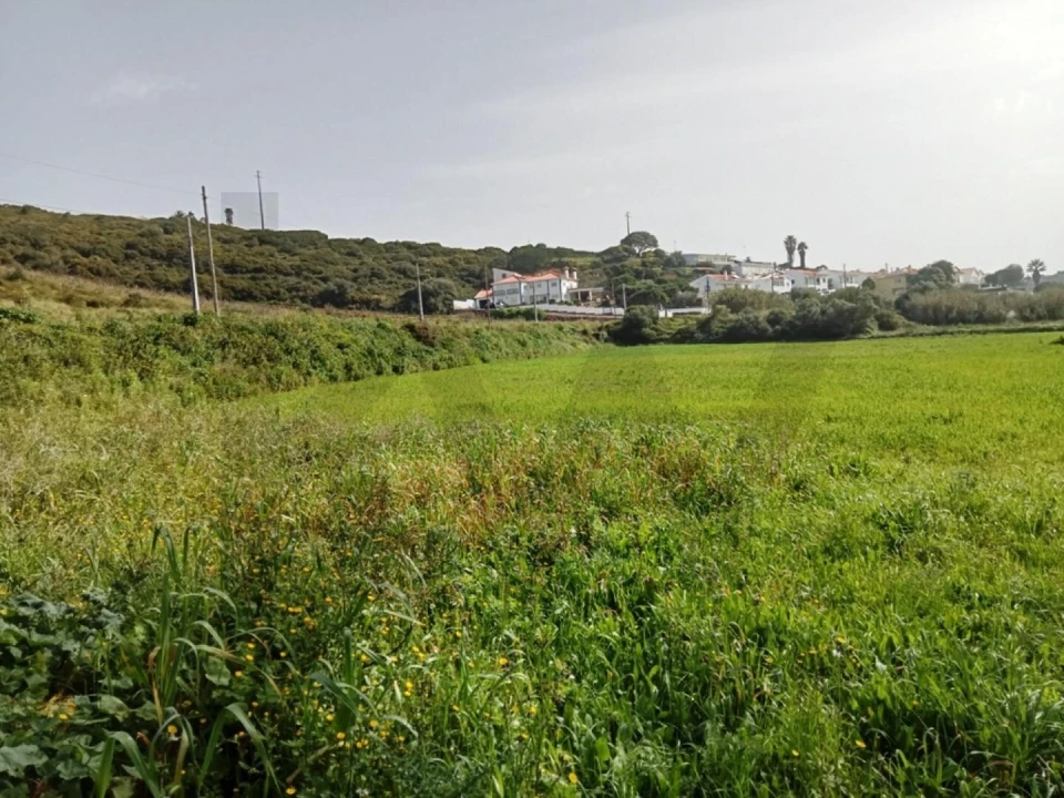 Terreno para Venda em Ericeira Foto 6