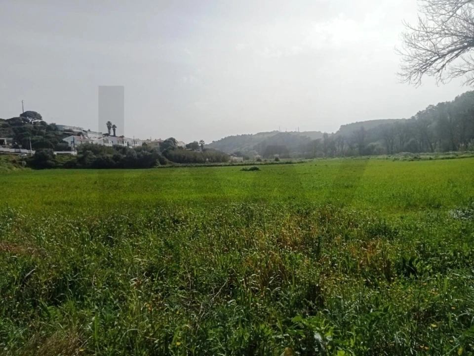 Terreno para Venda em Ericeira Foto 4