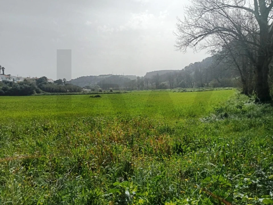 Terreno para Venda em Ericeira Foto 3