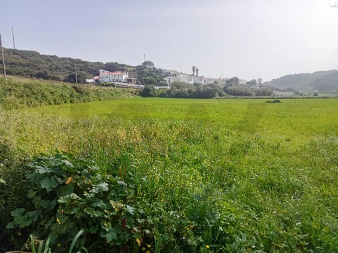 Terreno para Venda em Ericeira Foto 2