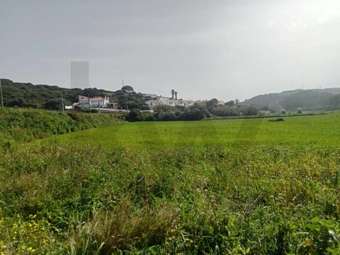 Terreno para Venda em Ericeira Foto 5