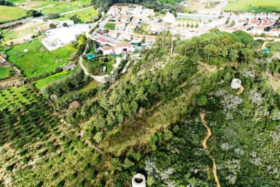 Quinta T10 para Venda em Venda do Pinheiro e Santo Estêvão das Galés