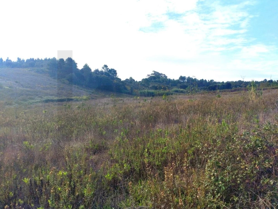 Terreno para Venda em Abrigada e Cabanas de Torres Foto 5