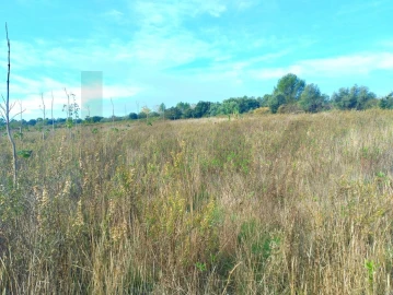 Terreno para Venda em Abrigada e Cabanas de Torres