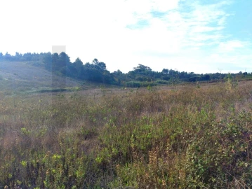Terreno para Venda em Abrigada e Cabanas de Torres