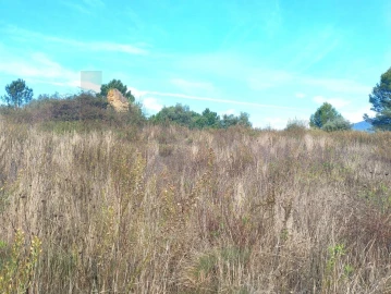 Terreno para Venda em Abrigada e Cabanas de Torres