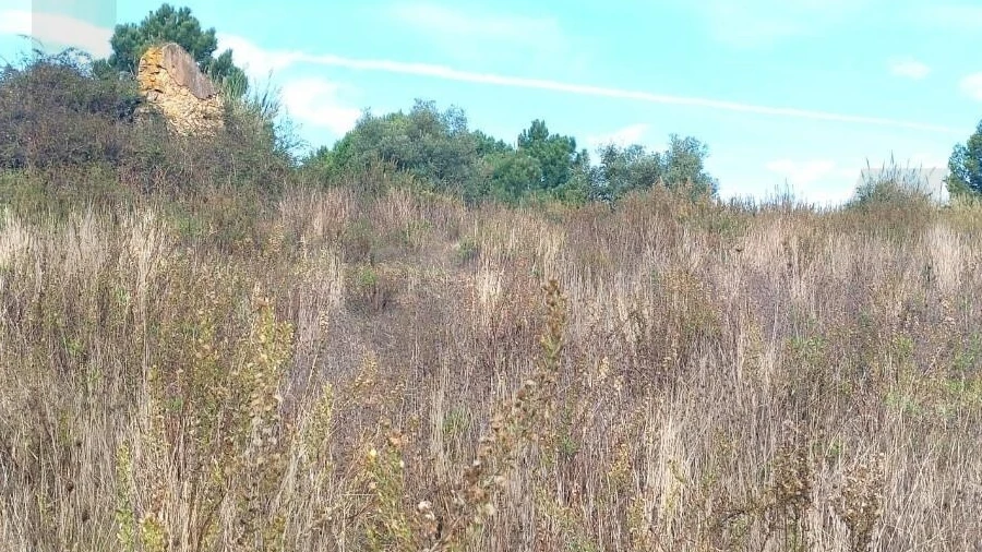 Terreno para Venda em Abrigada e Cabanas de Torres