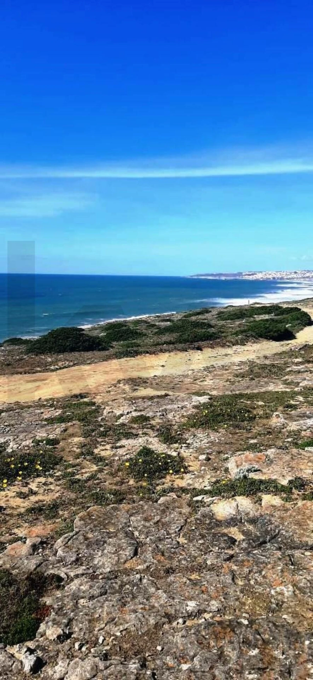 Terreno para Venda em Santa Maria e São Miguel, São Martinho, São Pedro Penaferrim Foto 2