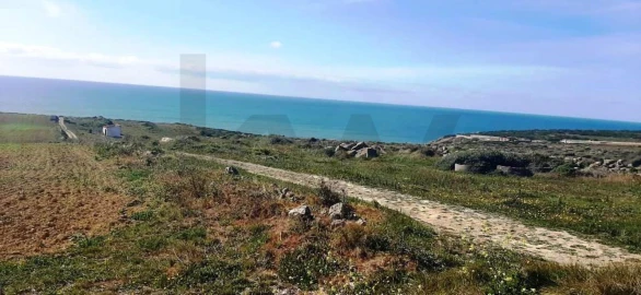 Terreno para Venda em Santa Maria e São Miguel, São Martinho, São Pedro Penaferrim