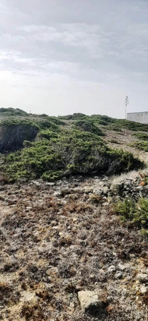 Terreno para Venda em Santa Maria e São Miguel, São Martinho, São Pedro Penaferrim