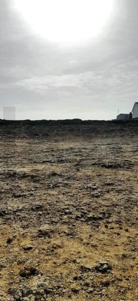 Terreno para Venda em Santa Maria e São Miguel, São Martinho, São Pedro Penaferrim