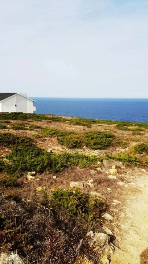 Terreno para Venda em Santa Maria e São Miguel, São Martinho, São Pedro Penaferrim