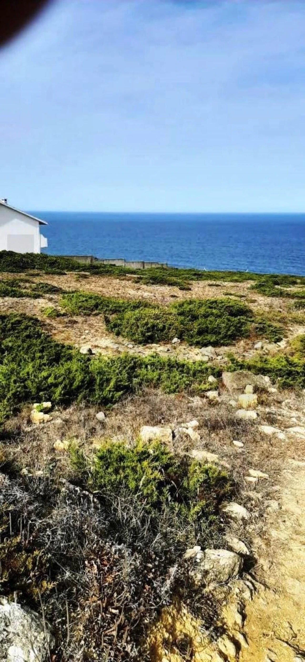 Terreno para Venda em Santa Maria e São Miguel, São Martinho, São Pedro Penaferrim Foto 8