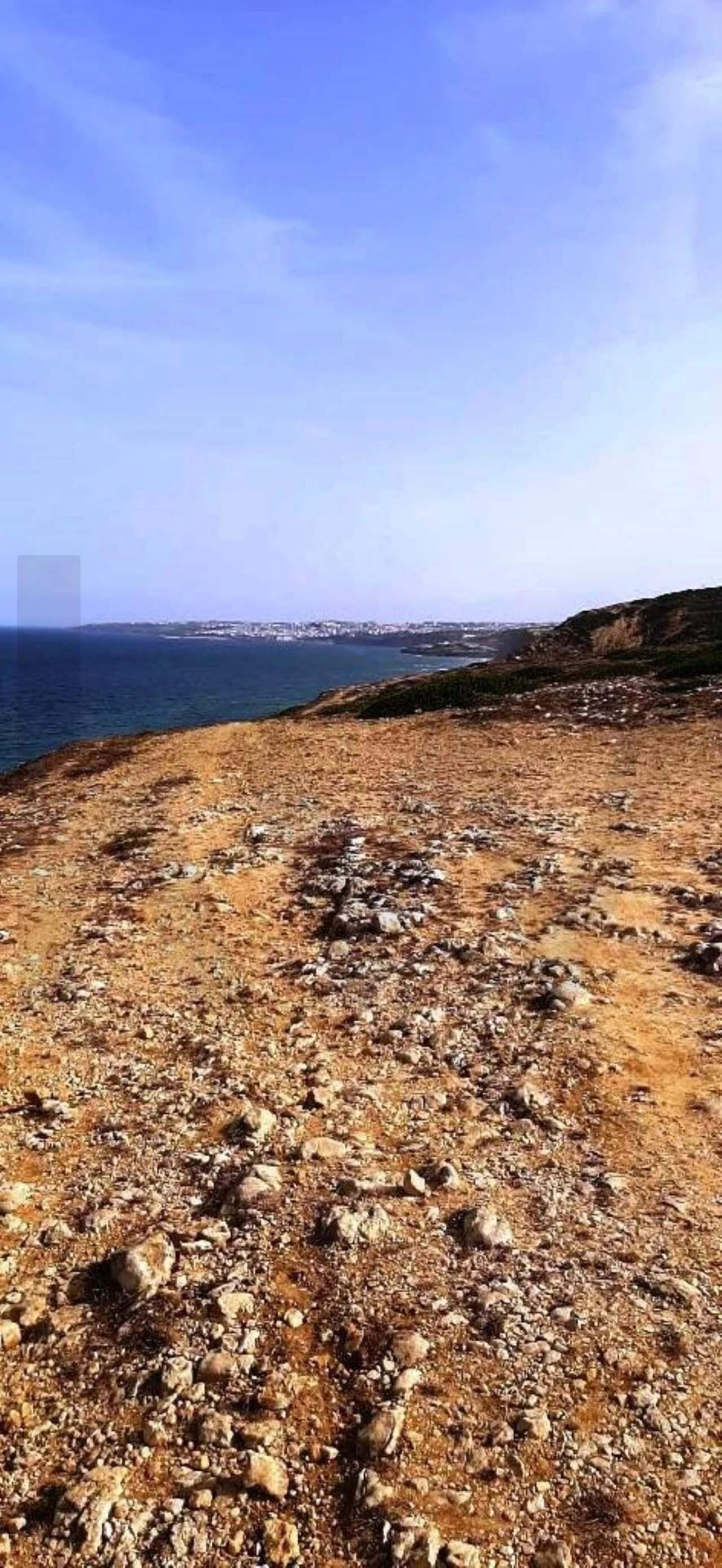 Terreno para Venda em Santa Maria e São Miguel, São Martinho, São Pedro Penaferrim Foto 12