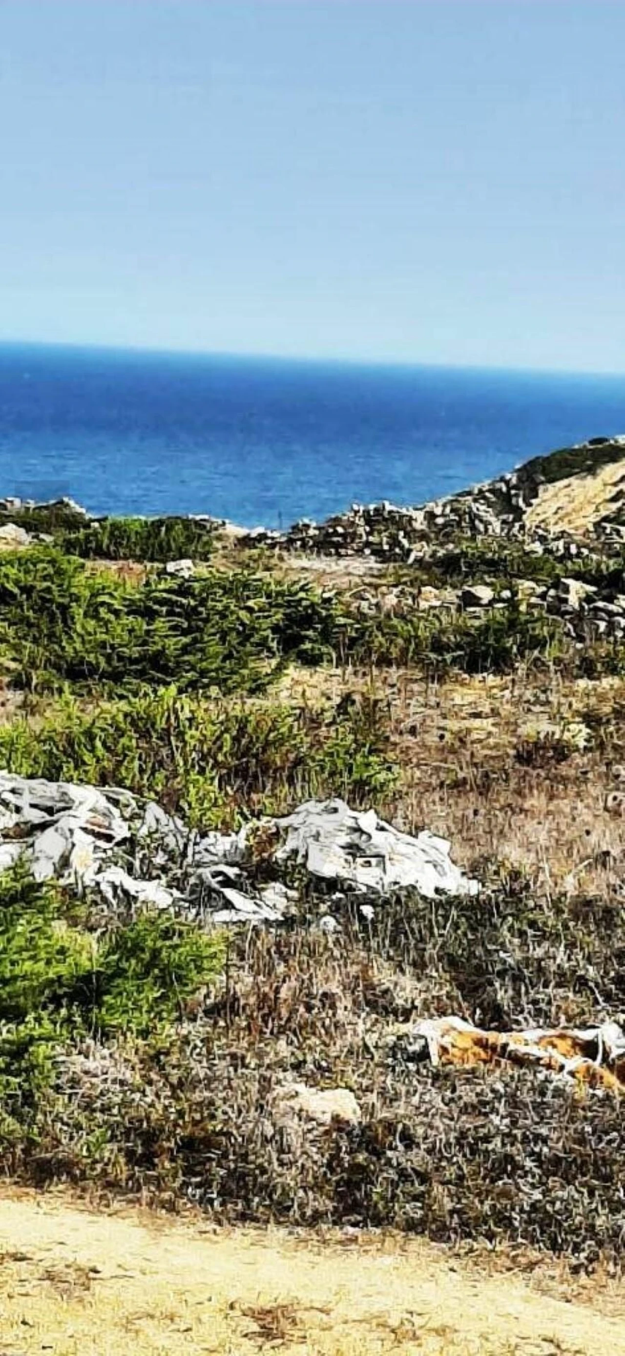 Terreno para Venda em Santa Maria e São Miguel, São Martinho, São Pedro Penaferrim Foto 6