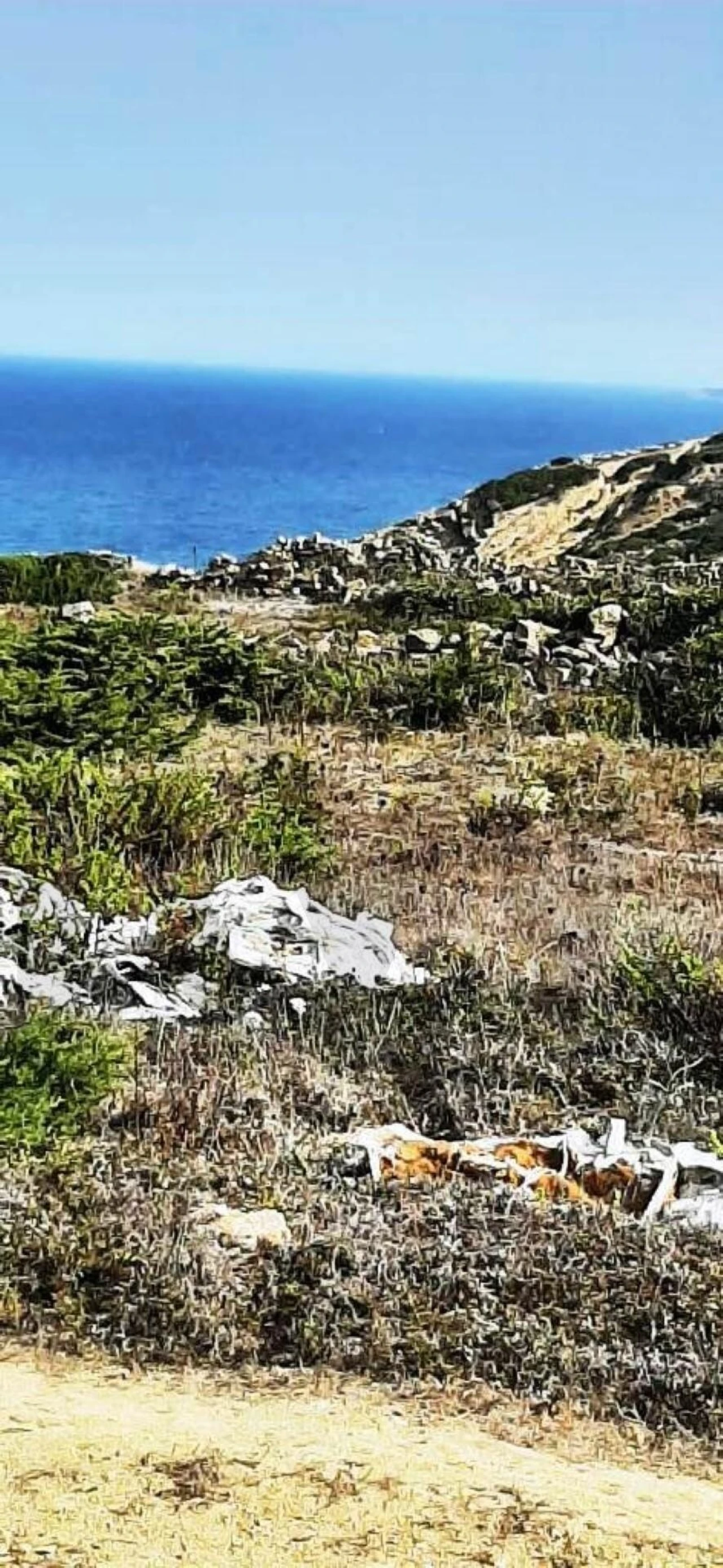 Terreno para Venda em Santa Maria e São Miguel, São Martinho, São Pedro Penaferrim Foto 5