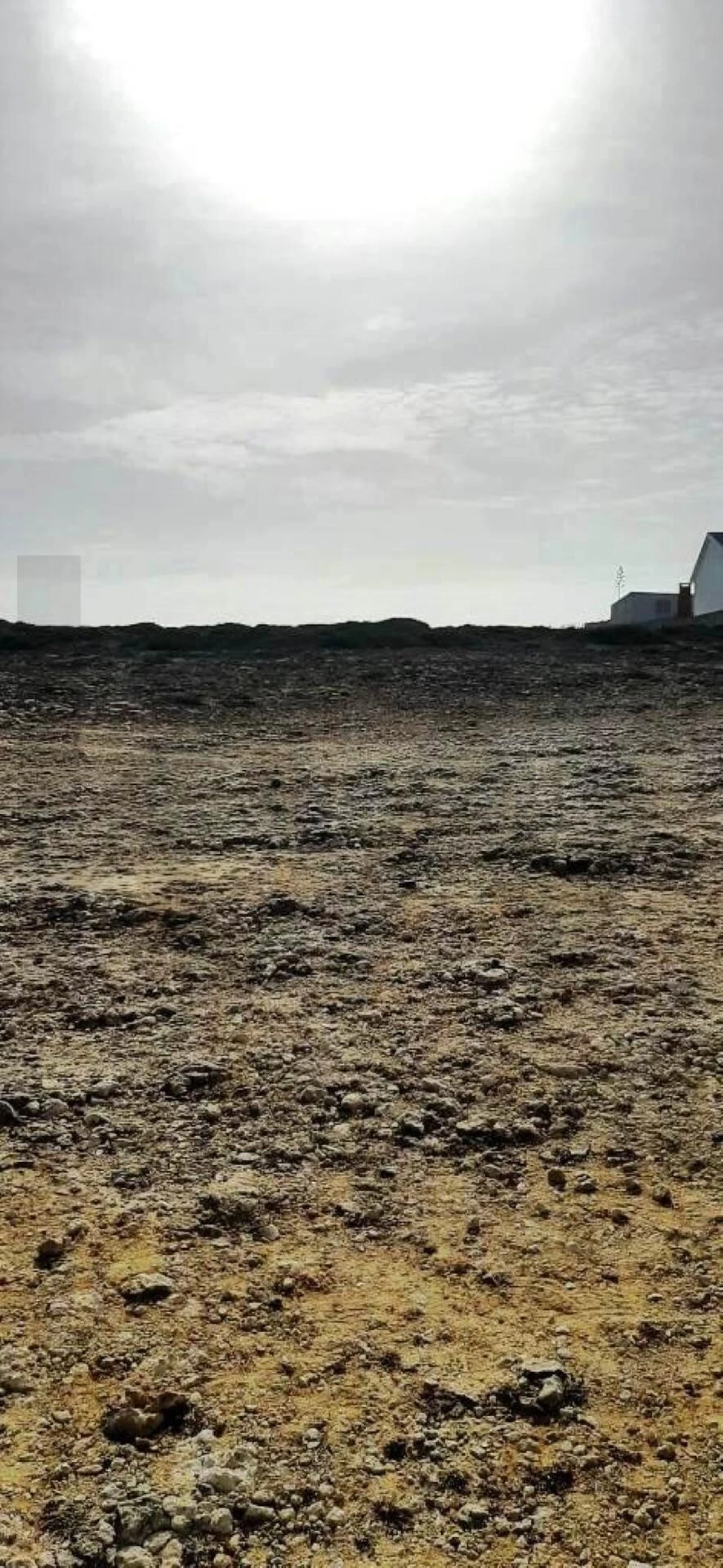 Terreno para Venda em Santa Maria e São Miguel, São Martinho, São Pedro Penaferrim Foto 13