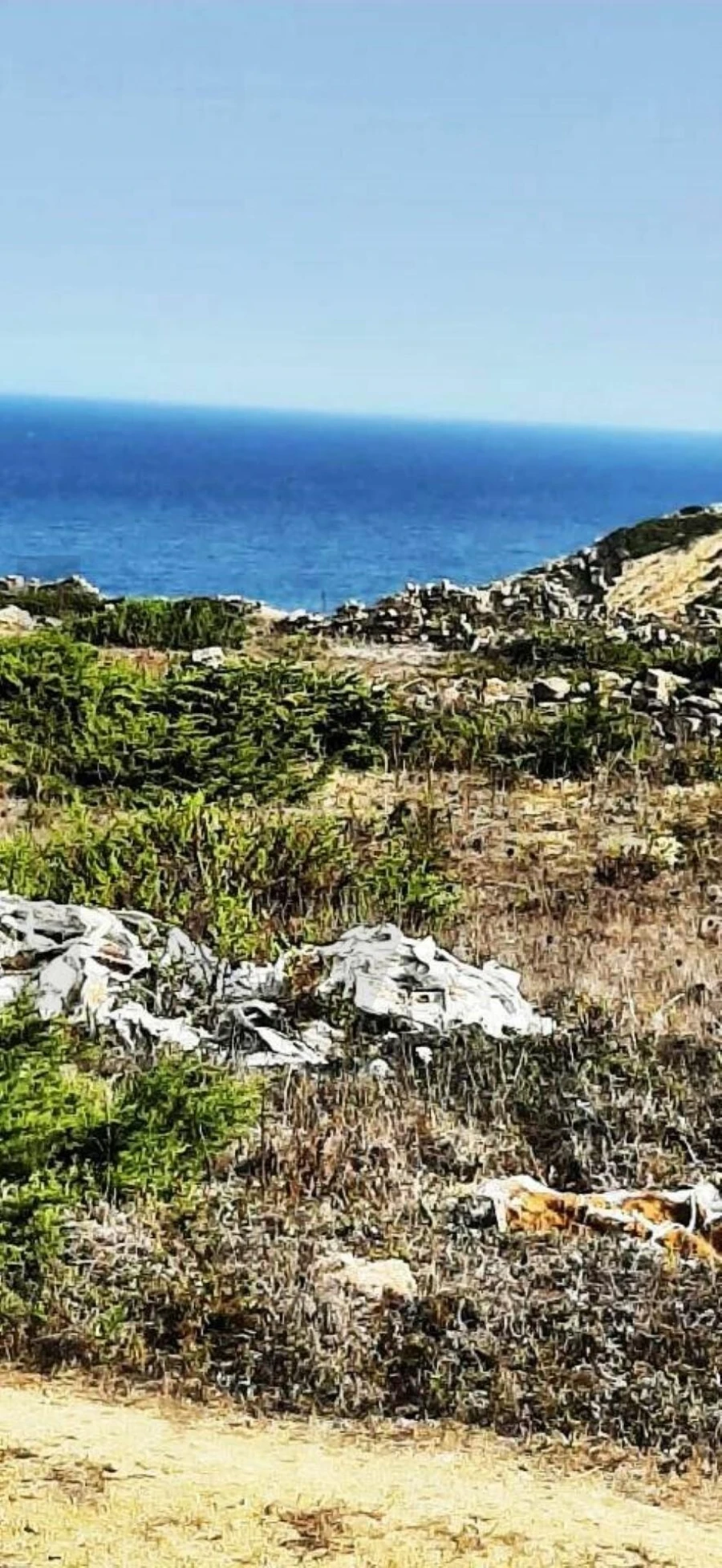 Terreno para Venda em Santa Maria e São Miguel, São Martinho, São Pedro Penaferrim Foto 6