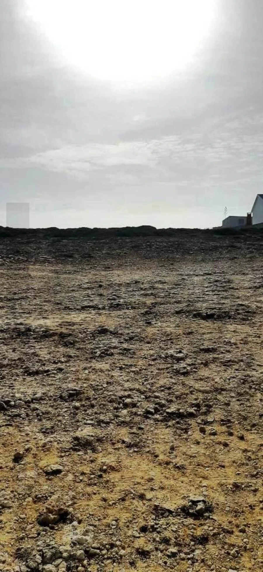Terreno para Venda em Santa Maria e São Miguel, São Martinho, São Pedro Penaferrim Foto 13