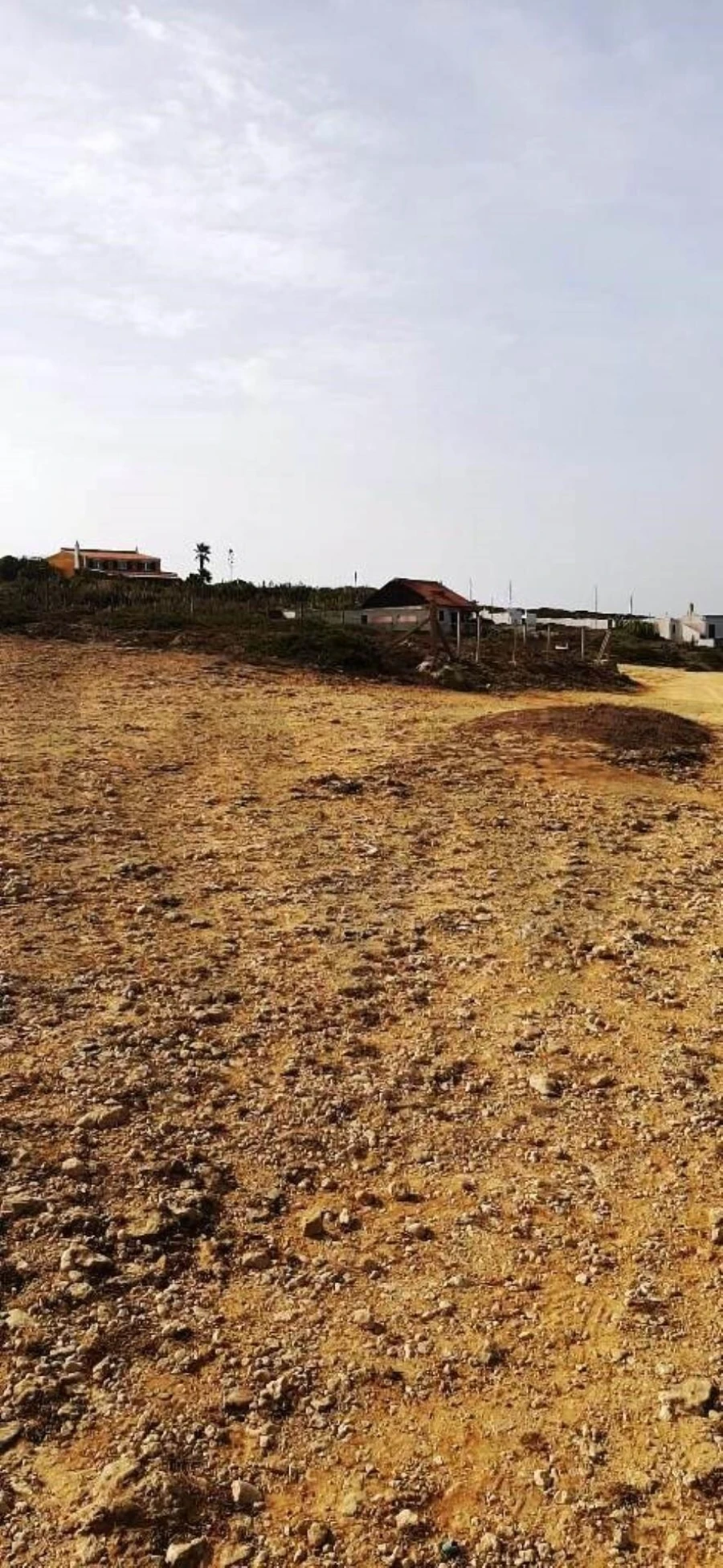 Terreno para Venda em Santa Maria e São Miguel, São Martinho, São Pedro Penaferrim Foto 11