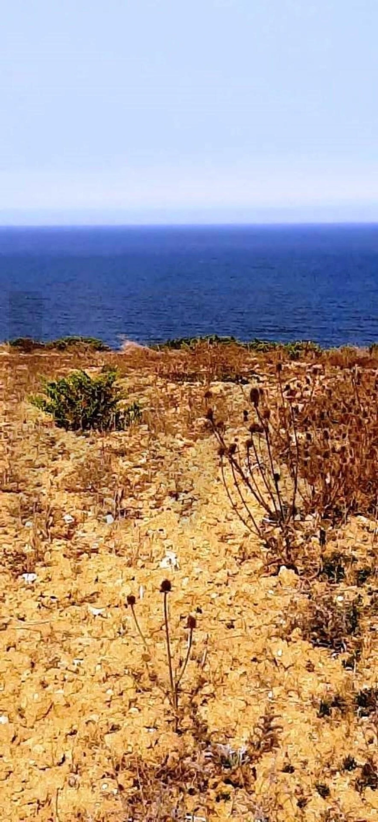Terreno para Venda em Santa Maria e São Miguel, São Martinho, São Pedro Penaferrim Foto 4