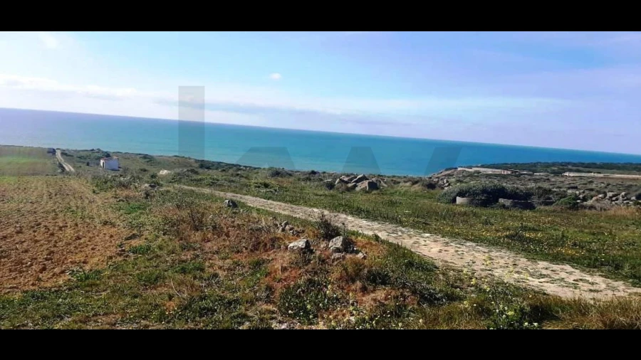 Terreno para Venda em São João das Lampas e Terrugem